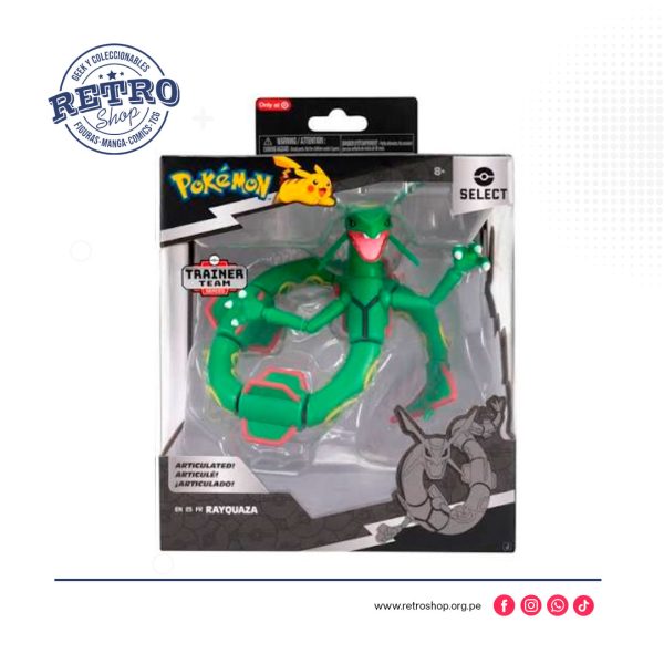 Pokémon Select Serie 11: Rayquaza Articulado, Trainer Team Series